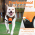 Eagloo Small Dog Harness, No Pull Service Vest with Reflective Strips, Adjustable Comfortable No Choke Pet Harness,