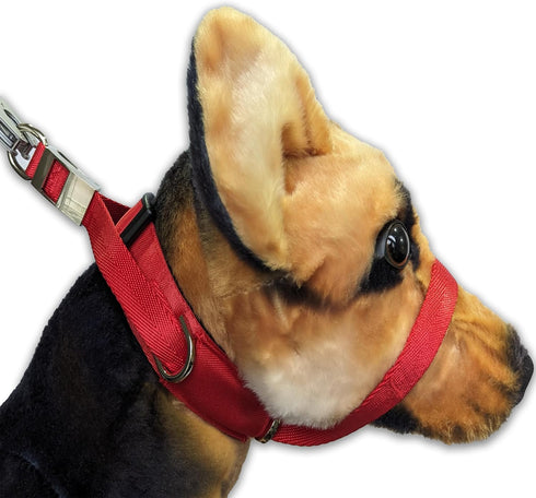 PetsProMax Dog Headcollar for Pulling and Reactive Dogs, No-Pull Training Collar for Large Dogs, Red (L)