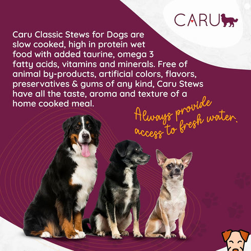 12 oz Pack 4 Caru Classics Beef Stew for Dogs - Healthy Wet Dog Food or Food Topper - Balanced Omega Blend - Cartons
