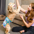 (3 Pack) Leekalos Reusable Washable Dog Diapers Female - Highly Absorbent Doggie Diapers - Size Adjustable Puppy Diaper