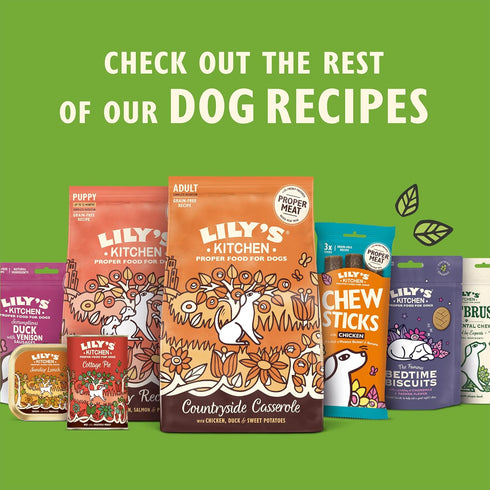 Lily's Kitchen Organic Dinner for Puppies, 150g (Pack of 11)