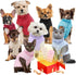 Winter Warm Dog Jacket for Small Medium Dogs, Cold Weather Coats with Harness, Waterproof Fleece Vest (Wine Red, S)