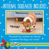 How The Grinch Stole Christmas 9” Merry Grinchmas Plush Squeaker Toy for Dogs, Holiday Plush Dog Toys
