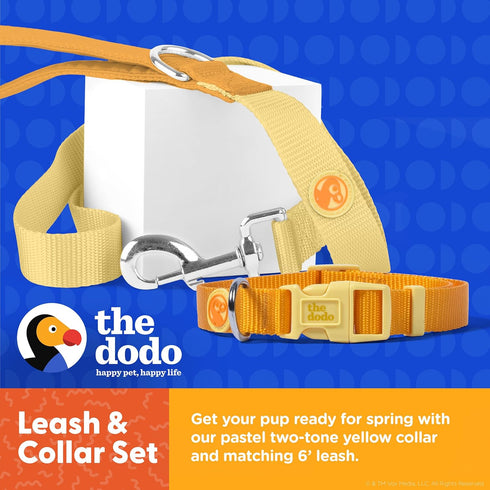 The Dodo All Nylon Yellow Collar and Leash Set, Small, Waterproof Matching Set for Beach Day or Lake Trips