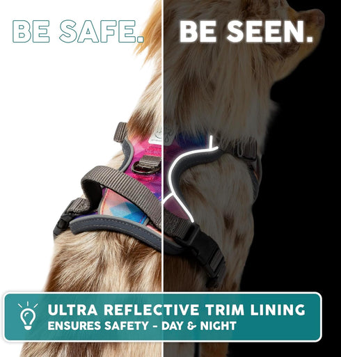 Embark Urban Dog Harness - No-Pull Reflective Trim for Small, Medium & Large Dogs, Heavy Duty Oxford, 2 Leash Clips &