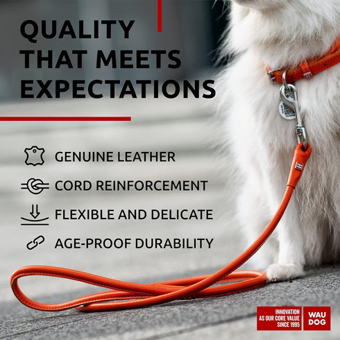 WAUDOG Heavy Duty Rolled Leather Dog Leash, 4Ft x 0.3in for Small Medium Large Dogs, Outdoor Walking Training (Orange)