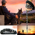 Dog Leash Metal Leashes with Pet Collar Training Walking Leads Heavy Duty Anti Bite Chain Rope Hook for Medium and Large Dogs