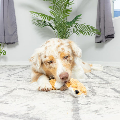 SPOT Skinneeez Extreme Quilted Fox Dog Toy, Durable, Stuffing Free, 4 Layers, 2 Squeakers, Ideal for Medium and Large