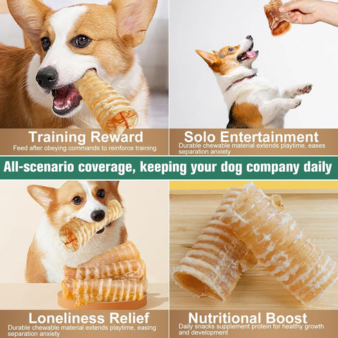 Dexudo 6 Inch (6 8 oz) Beef Trachea Dog Chews pcs - - Trachea Dog Treats,Digestible and Safe Chews for Dogs - Natural