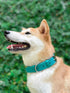 Tuff Pupper Classic Heavy Duty Dog Collar | 10x Stronger Than Leather, 100% Waterproof & Odor Proof