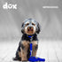 DDOXX Nylon Dog Leash, 6.6 ft, 3-Way Adjustable Leash for Dogs - XS (Blue), Red Dog Leash