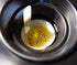 3 Brine Shrimp Hatchery Dish + Months Supply of Brine Shrimp Eggs