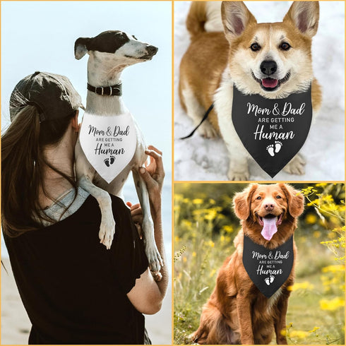 2 Pack Mom & Dad are Getting Me a Human Dog Bandana: Pregnancy Announcement Gender Reveal Photo Prop Pet Scarf