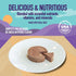 3.5 oz (Pack 12), A Strong Heart Wet Dog Food Cups, Porterhouse Steak Flavor - Cups of Made in The USA with Real Beef