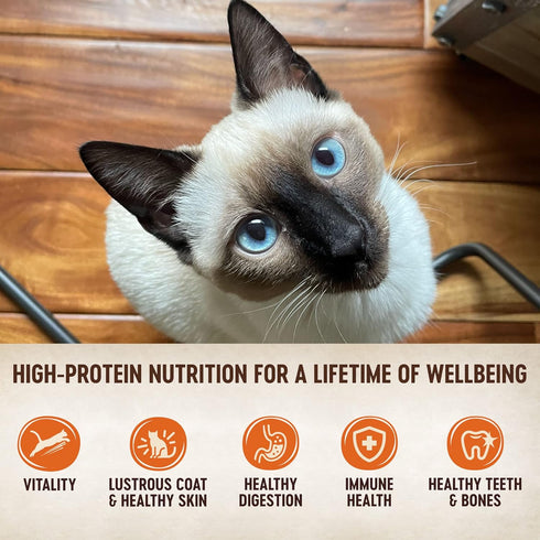 Wellness CORE Grain-Free Signature Selects Wet Cat Food, Natural Pet Food with Real Meat, Seafood Variety Pack, 8 Cans