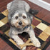 SPOT Bam-Bones Wishbone Dog Chew - Made with Strong Bamboo Fiber, 7in, Chicken Flavor for Light to Moderate Chewers
