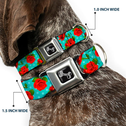Dog Collar Seatbelt Buckle, Red Roses Polka Dots, Turquoise, 9 to 15 Inches, 1.0 Inch Wide