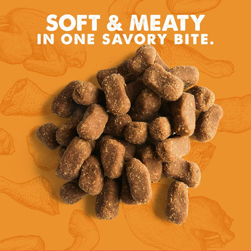 Cloud Star Wag More Bark Less Meat Cravers Soft Chews Dog Treats, Chicken, 5 oz Bag