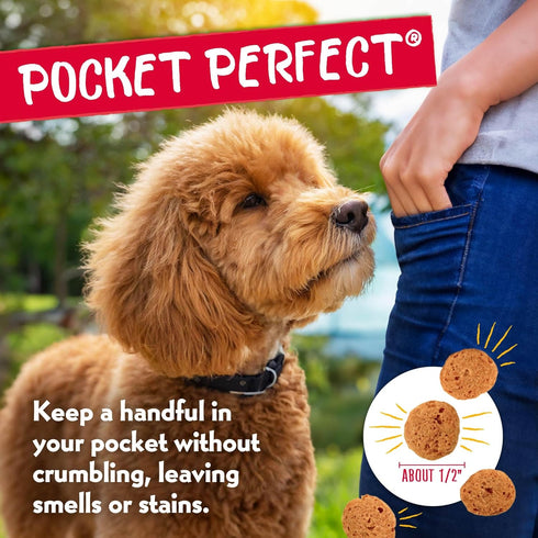 Charlee Bear Dog Treats for Small Dogs, Training Treats Crunchy Low Cal, Grain Free, USA, Puppy Training Treats (Bacon