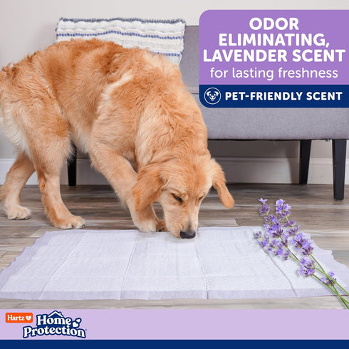 40 count Hartz Home Protection Super Absorbent Odor Eliminating Lavender Scented No Leak Dog Pads, XXL