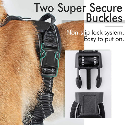 rabbitgoo Dog Harness, No-Pull Pet Harness with 2 Leash Clips, Adjustable Soft Padded Vest, Reflective No-Choke Oxford