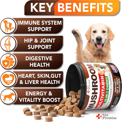 170 Immunity Turkey Tail Mushroom for Dogs - Chews - Mushroom Supplement for Dogs - Lions Mane - Reishi - Support