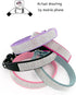 Petank Dog Collar for Small Medium Large Dogs, Bling Girl Dog Collars, Pink Rhinestone Puppy Collars (M, Pink)
