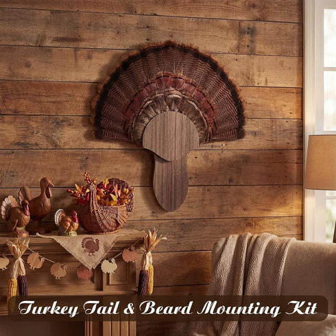 (14.5 Inch,Grey,Walnut Bucherry Turkey Tail Fan Mounting Kit for Hanging Turkey Tail, Feather, Beard, Wall Mounted