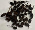 Awesome Aquatic Alder & Casuarina Cones, Betta Shrimp Tank, Promotes Natural Habitat (50 Pack Alder)