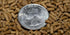 1LB 2.4mm Wpc-Co. Sinking Pellets for Freshwater Bottom Feeders, Shrimp & Snails Aquarium Food for Corydoras, Loaches