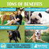Raw Paws Organic Virgin Coconut Oil for Dogs & Cats, 4-oz - Supports Immune System, Digestion, Oral Health
