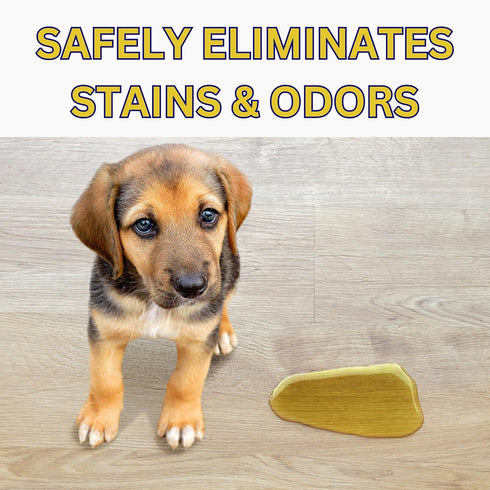 Deodorizing Enzymatic Floor Cleaner - Deter & Deodorize, Safe for Pets & Kids, Non-Toxic, Eco-Friendly (1 Gallon)