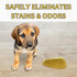 Deodorizing Enzymatic Floor Cleaner - Deter & Deodorize, Safe for Pets & Kids, Non-Toxic, Eco-Friendly (1 Gallon)