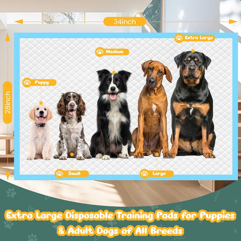 YOPETKI 60 Count 28" 34", Extra Large Dog Pee Pads x Super Absorbent X-Large Puppy Pads Disposable Dogs Training Pads