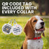 BRONZEDOG Rolled Leather Dog Collar with QR ID Tag - Adjustable Soft Round Collars for Small Medium Large Dogs (11" -