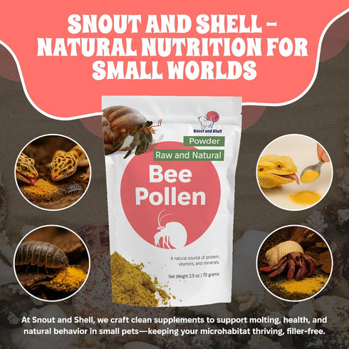 2.5 oz Snout and Shell Bee Pollen Powder for Hermit Crabs Natural Food Supplement for Molting & Recovery Auto Feeder