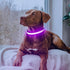 Flashseen LED Dog Collar, Light Up Dog Collar USB Rechargeable, Brightest Dog Lights for Night Walking, Adjustable Dog