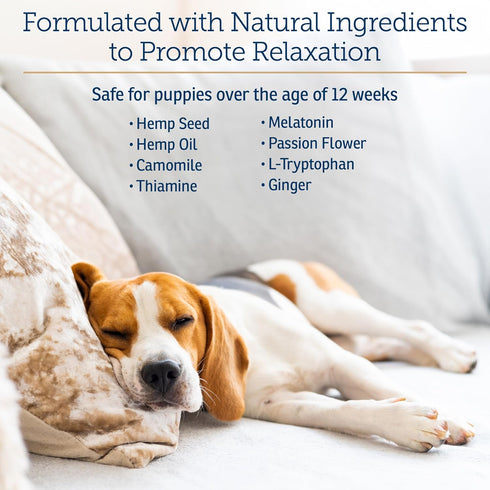 Rx Vitamins NutriCalm: Hemp Calming Chews for Dogs with Melatonin and Chamomile, 120 Capsules