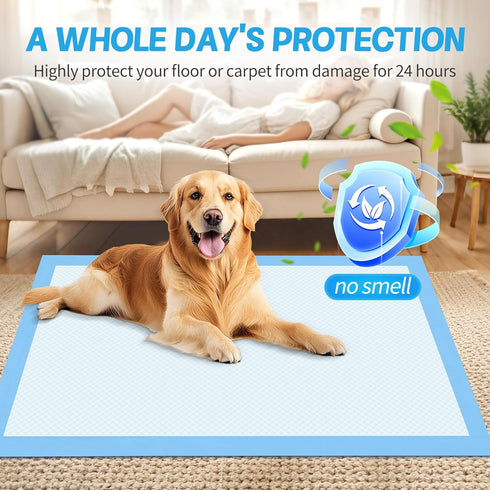 newppon 60 Count 30"X36" Extra Large Dog Pee Pads - Super Absorbent Disposable Training Urine Bed Pads Dogs Puppies