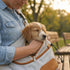 Zingaroo 10lbs Set Hands-Free Sling Pet Carrier for Cats and Small Dogs up to Travel Includes Foldable Water Bowl & ID