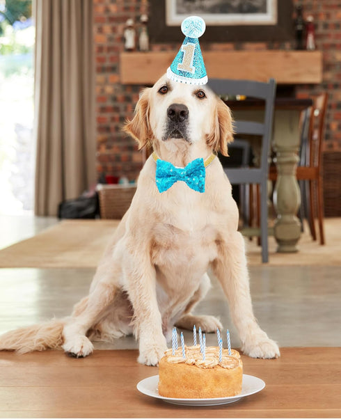 PET SHOW Dogs 1st Birthday Hats and Bandanas Set - Photo Props for 1-Year-Old Cats and Dogs (Blue)
