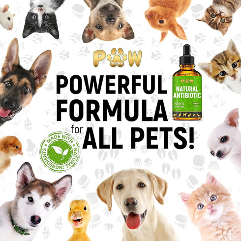 Dog Antibiotics for Infection, Coughs, UTIs, Allergies, Natural Antibiotics for Cats, 2 oz