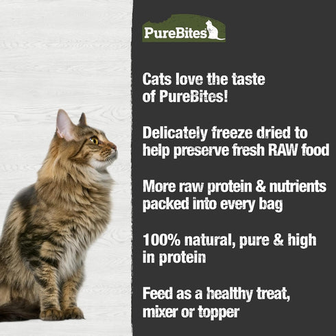 44g 1.55oz Pack 3 PureBites Freeze Dried Cat Treats, Beef Liver, ||