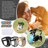 Reusable Female Dog Diapers for Heat Cycle - Grey XL