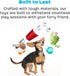 Barkbox 2 in 1 Interactive Plush Dog Toy - Rip and Reveal for Small Dogs - Stimulating Squeaky Pet Enrichment Toy
