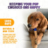 Interactive Durable Dog Chew Toys for Aggressive Small Medium Large Dogs - Indestructible Blue & Beige Stick Toy