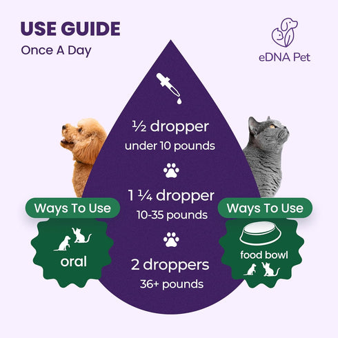 Herbal Supplements for Dogs & Cats | Health Supplies Drops | Herbal Remedy with Cranberry, Respiratory & Cold Drop