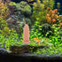 6.69X3.93X3.93In balacoo Shrimp Breeding Bucket Lightweight Pottery Clay Aquarium Decoration Fish Spawning Cone Water