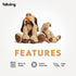 fabdog Floppies Plush Dog Toy - Cute & Durable Squeaky Toy, Ideal Gift for Puppies and All Breeds