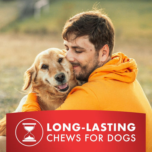 Dog Treats, K9 Kabobs for Dogs Made with Real Chicken and Duck, 12 Ounces, Healthy, High Protein Dog Treat, Long-Lasting